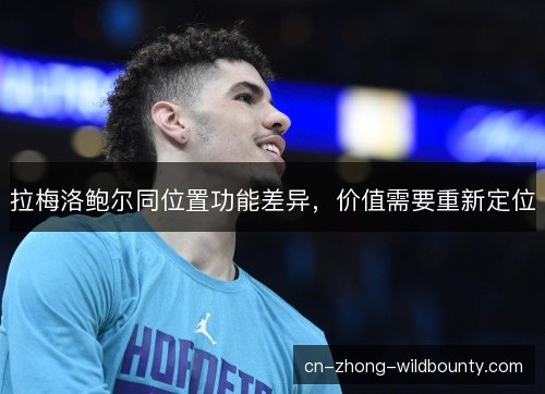 拉梅洛鲍尔同位置功能差异,价值需要重新定位 拉梅洛鲍尔同位置功能差异,价值需要重新定位