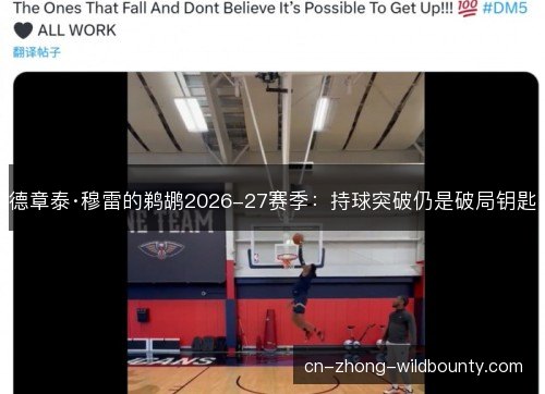 德章泰·穆雷的鹈鹕2026-27赛季：持球突破仍是破局钥匙